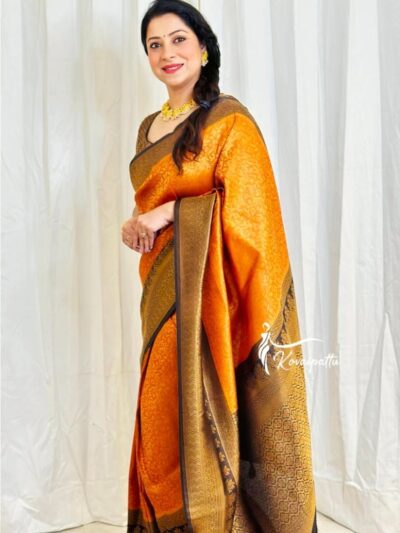 Sari