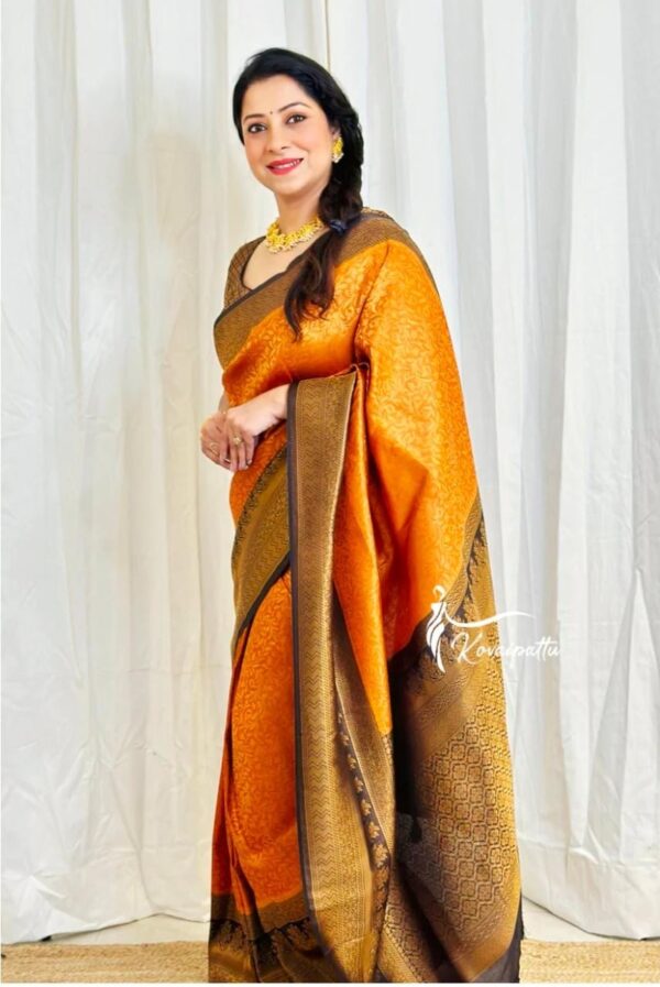 Sari