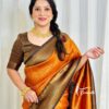 Designer Banarasi Border Orange Saree