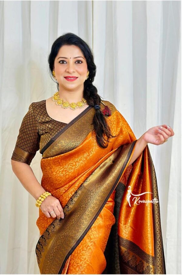 Designer Banarasi Border Orange Saree