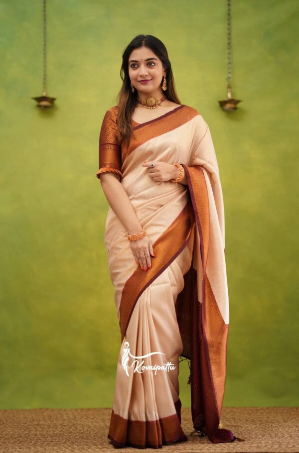 Banarasi Pata Saree