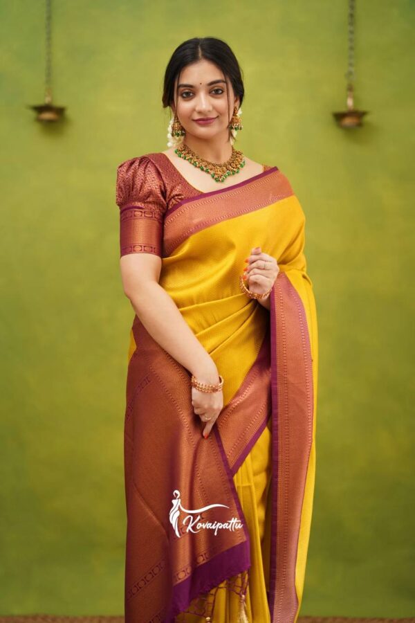 Kanjivaram Saree Look