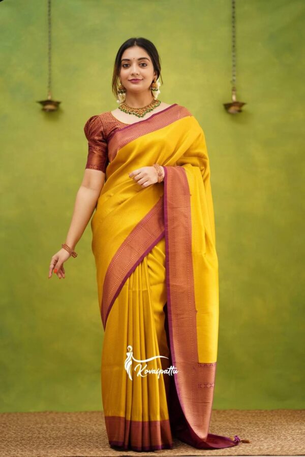 Kanjivaram Saree Look