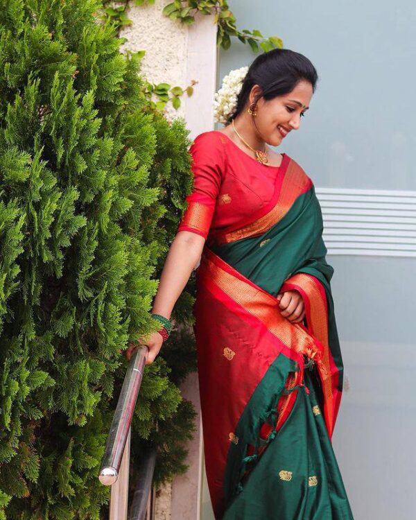 Kanchi Silk Saree