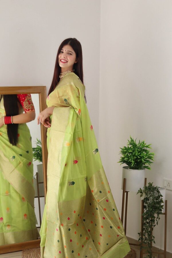 Pure Silk Organza Saree