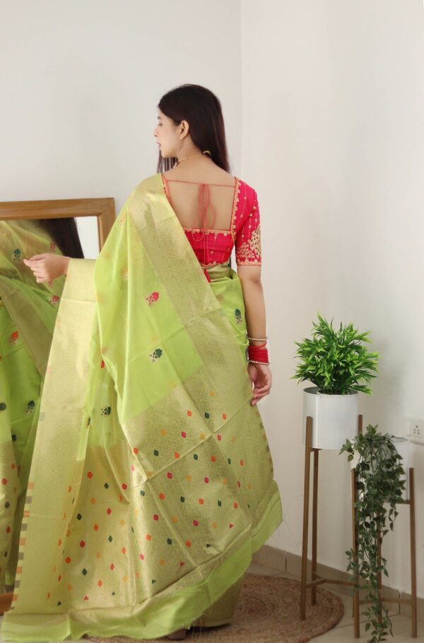 Pure Silk Organza Saree