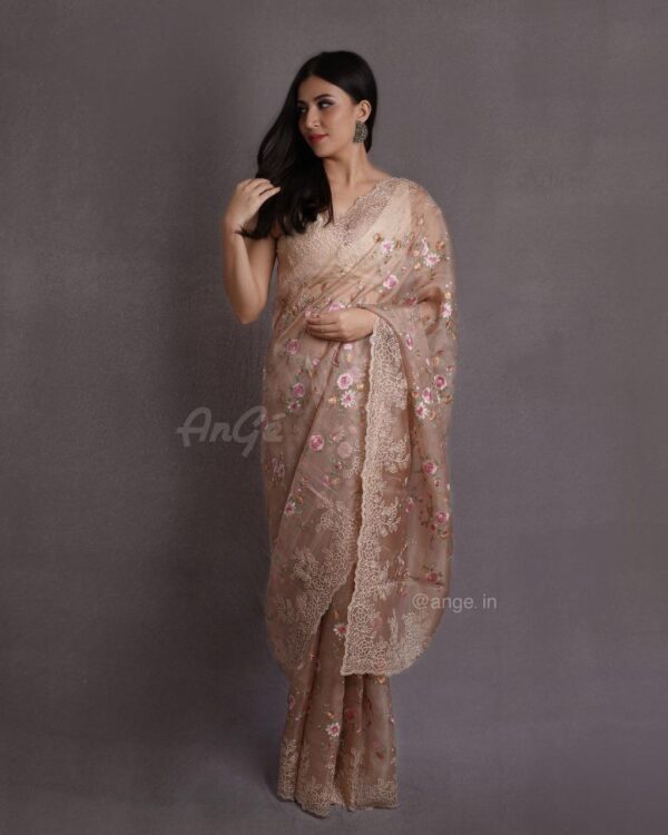 oRGANZA sAREE