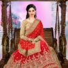 Embroidery latest pure silk sarees