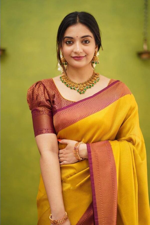 Traditional Function wear Yellow Saree