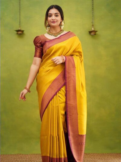 Silk Sari