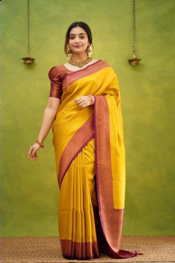 Silk Sari