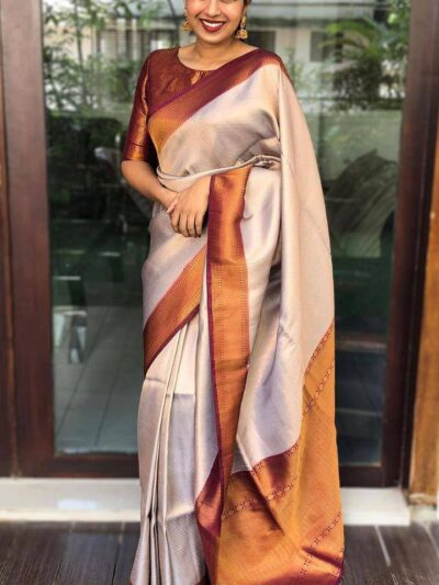 Bollywood Grey Sari