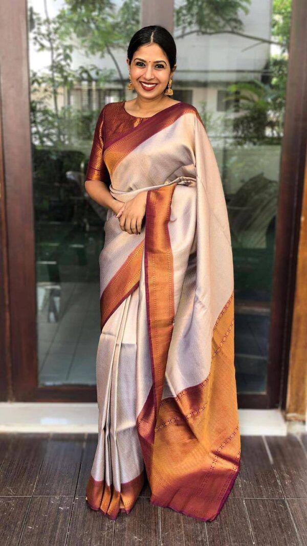 Bollywood Grey Sari