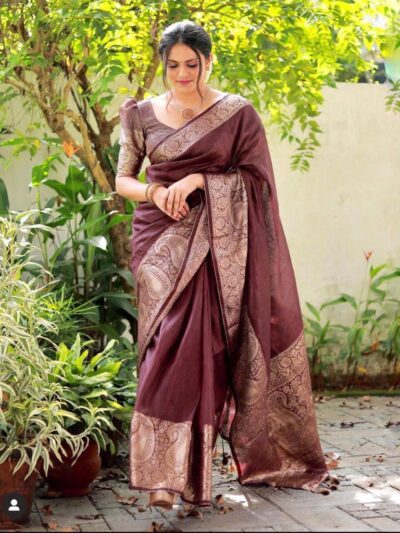 Beautiful Saree