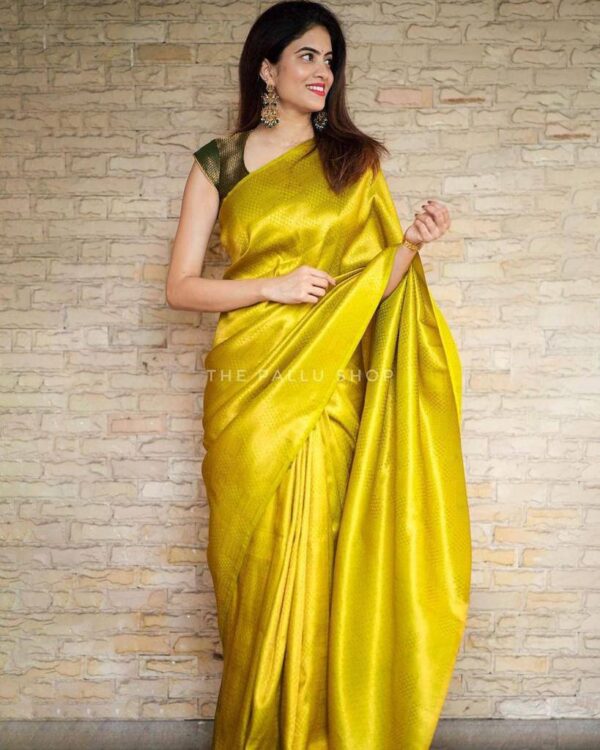 Fancy Saree