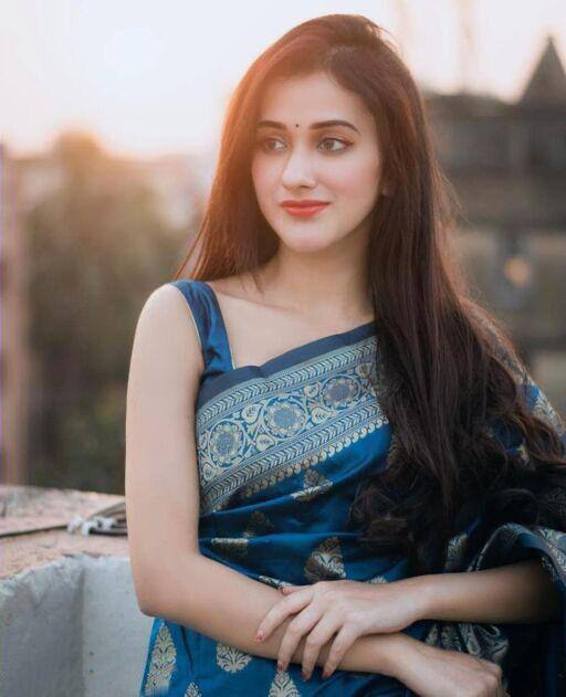 Traditional Banarasi Blue Saree