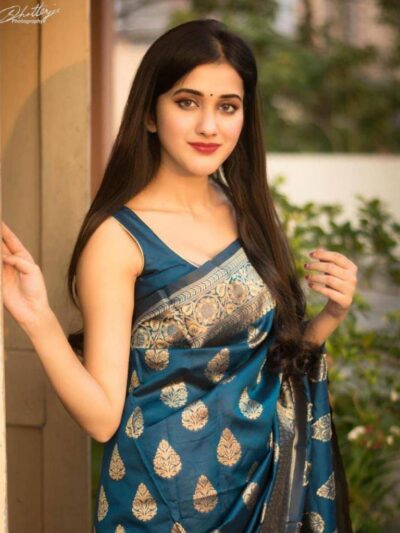 Wedding Party Saree