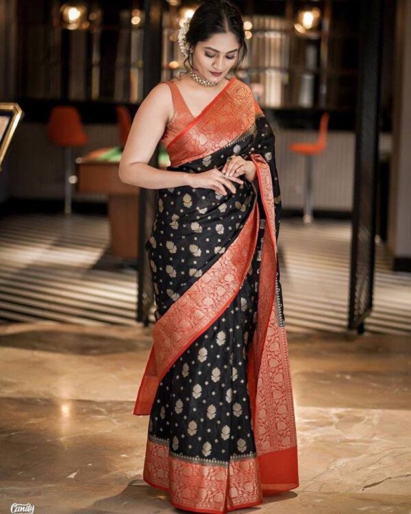 Black Saree For Stylish Party Function