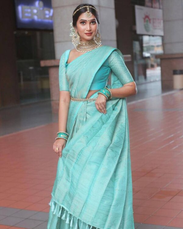 Sky Blue Saree