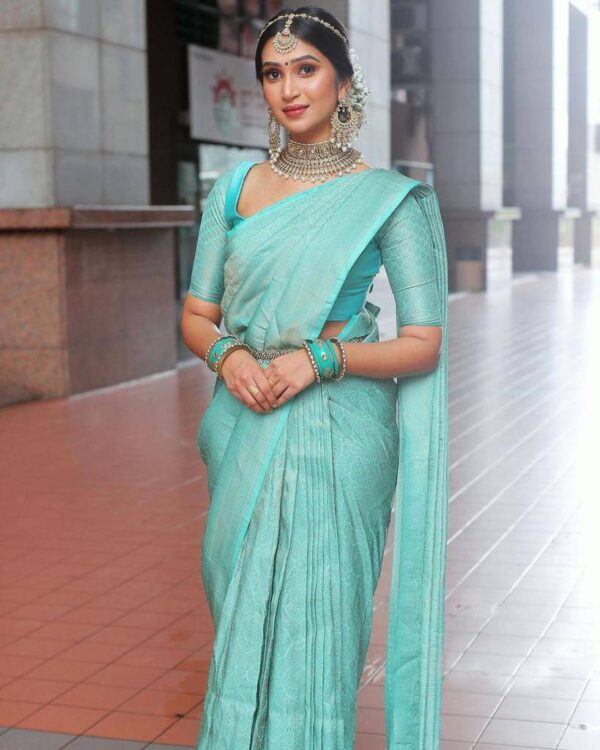 Stylish Saree