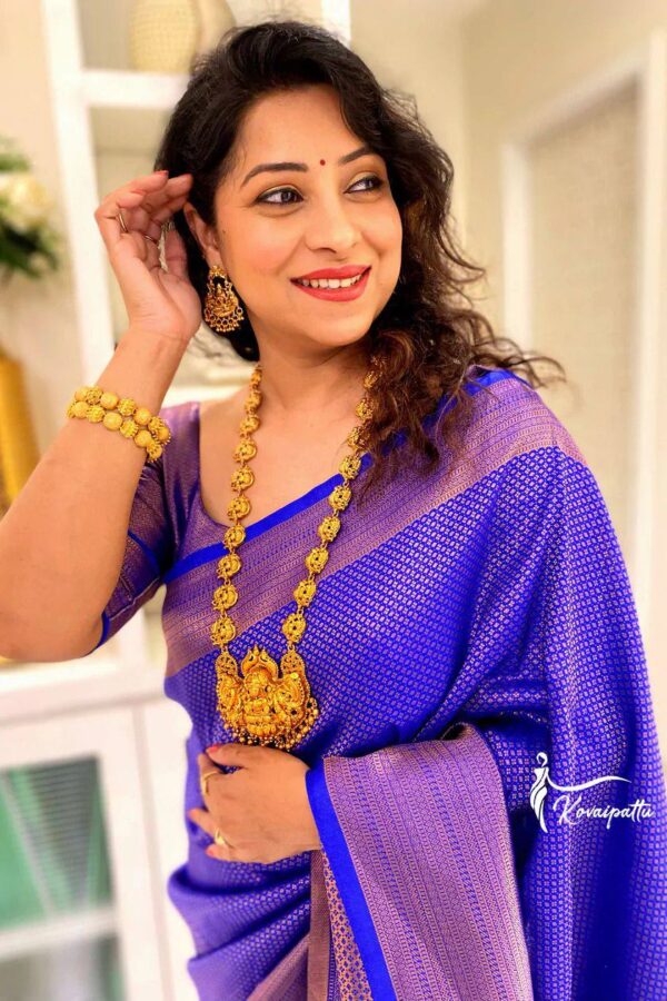 Banarasi Wedding Blue Saree