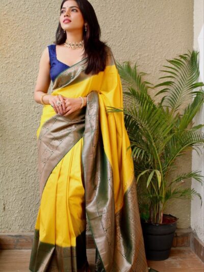 Silk Sari