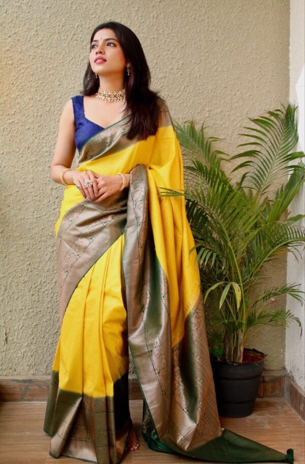 Silk Sari