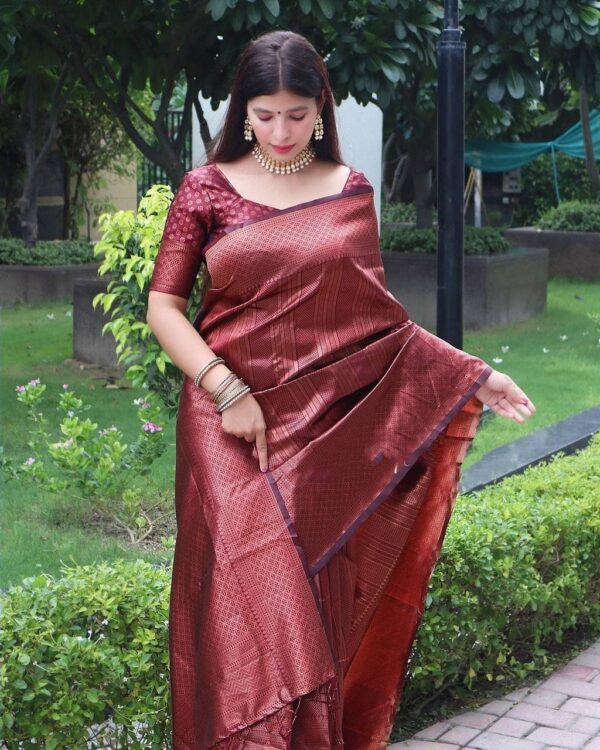 Banarasi Wedding Maroon Saree