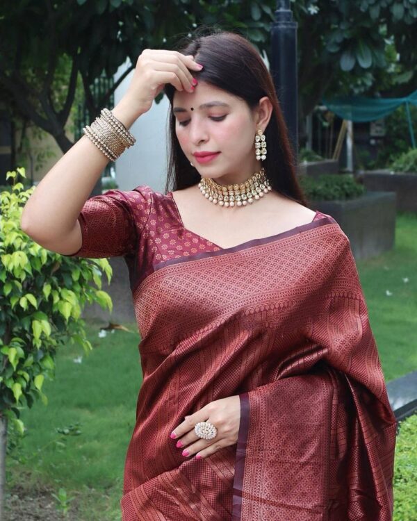Banarasi Wedding Maroon Saree
