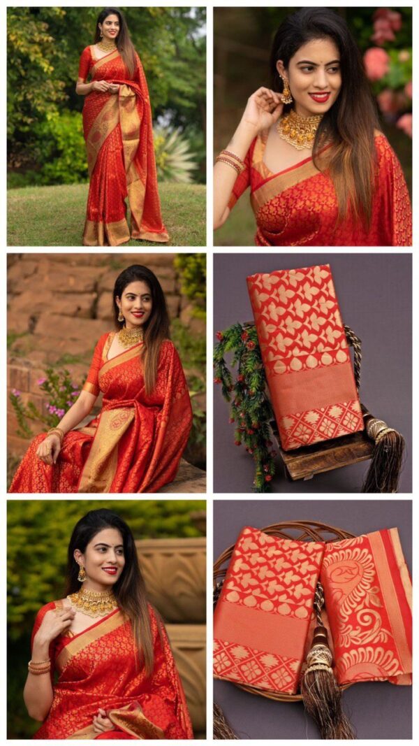 Wedding Banarasi Red Saree