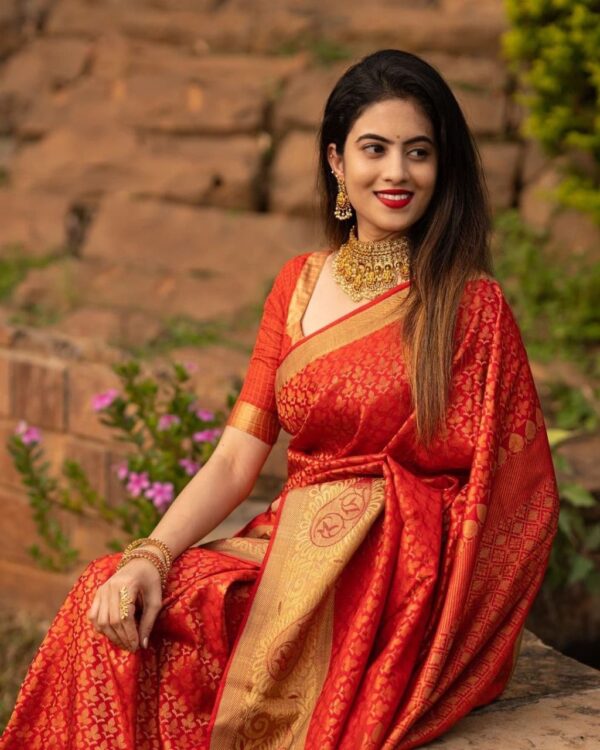 Wedding Banarasi Red Saree