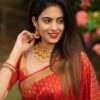 Wedding Banarasi Red Saree