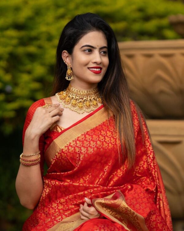 Wedding Banarasi Red Saree