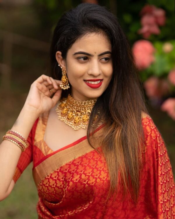 Wedding Banarasi Red Saree