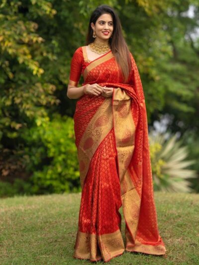 Stylish saree