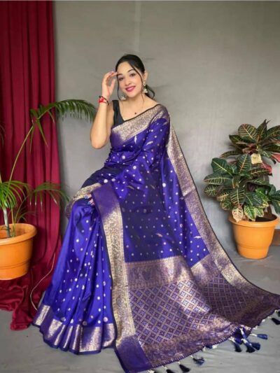 Blue Saree