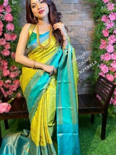 Fancy Sari