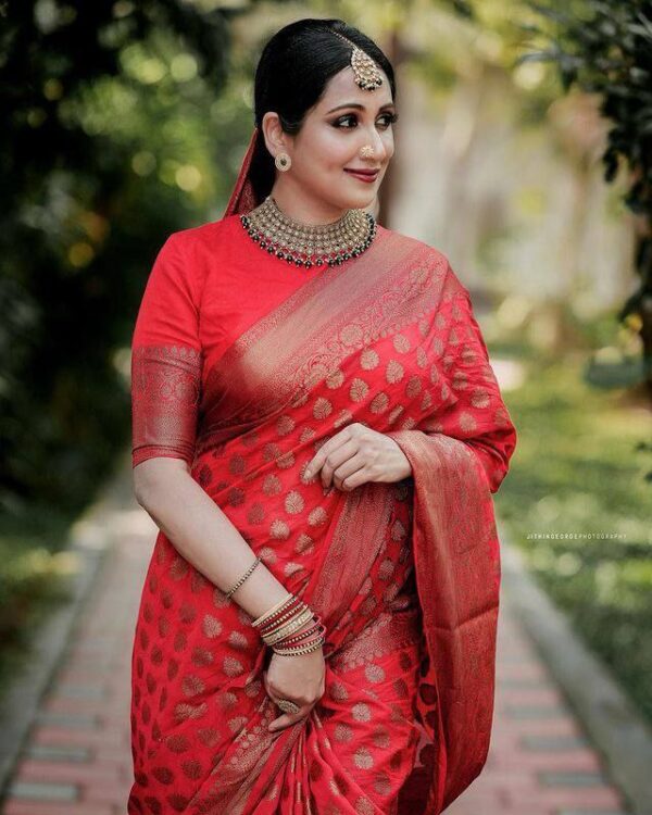 Red Saree