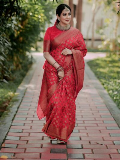 Traditional Wedding Red Saree