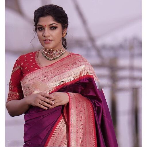Formal Purple Saree with Red Border