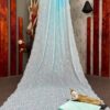 Stylish Sequence Sky Blue Saree