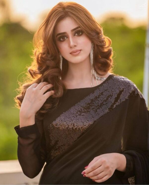 Stylish Sequence Border Black Saree