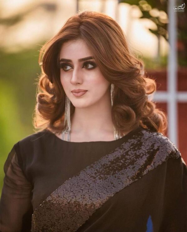 Stylish Sequence Border Black Saree