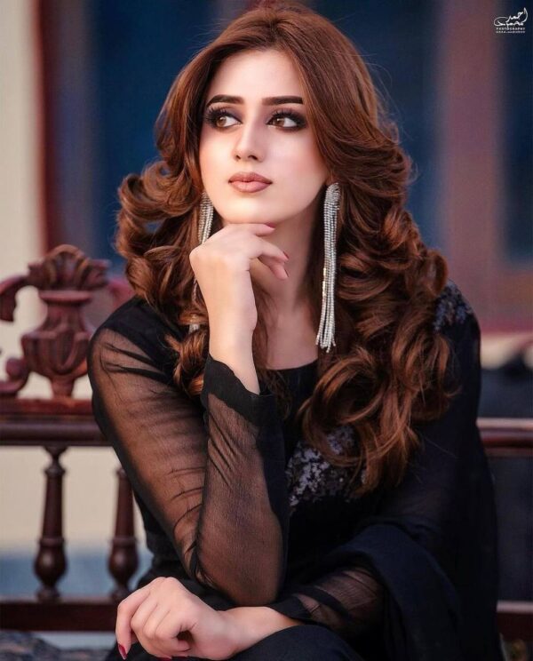 Stylish Sequence Border Black Saree
