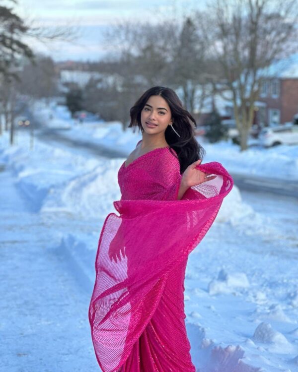 Bollywood Party Sequence Pink Saree