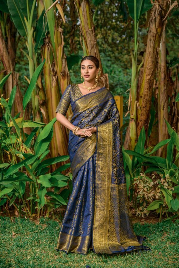 Banarasi Silk Luxury Saree