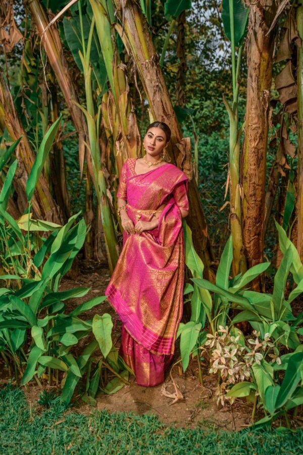 Banarasi Silk Luxury Saree