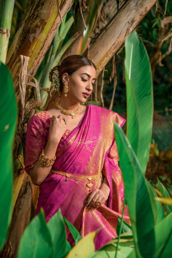 Banarasi Silk Luxury Saree