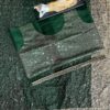 Party Sequence Work Green Saree