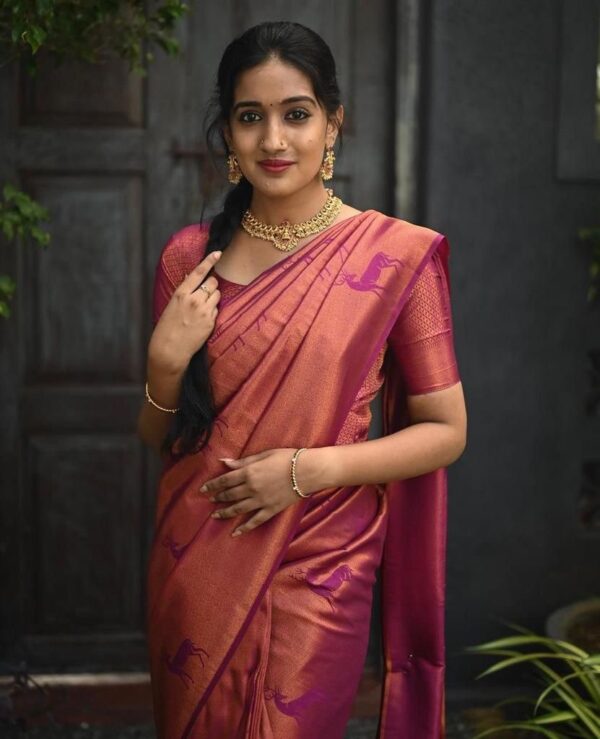 Pink Saree